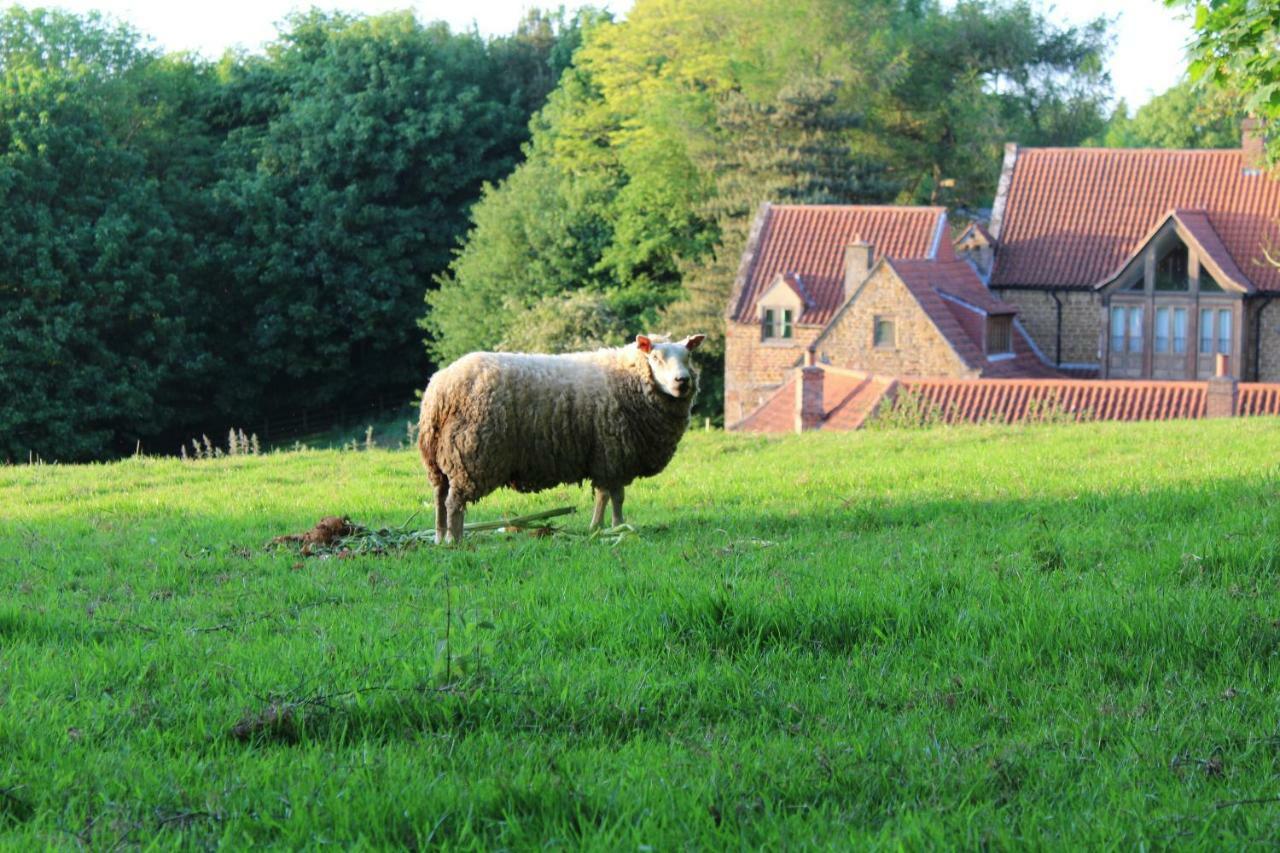 Heath Farm Holiday Cottages Swerford Exteriér fotografie